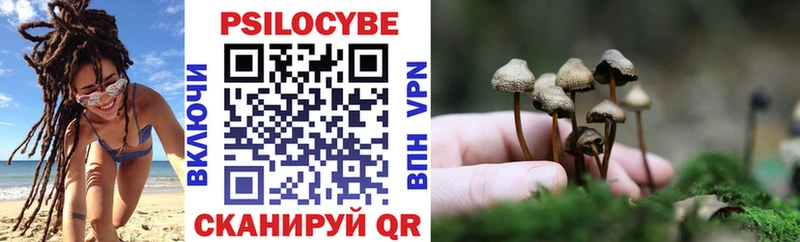 Псилоцибиновые грибы MAGIC MUSHROOMS  kraken зеркало  Верхотурье 
