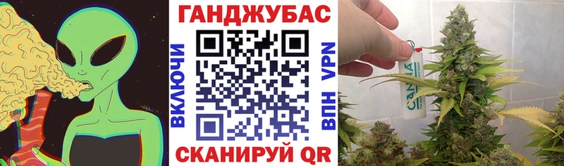 Бошки Шишки VHQ  продажа наркотиков  Верхотурье 
